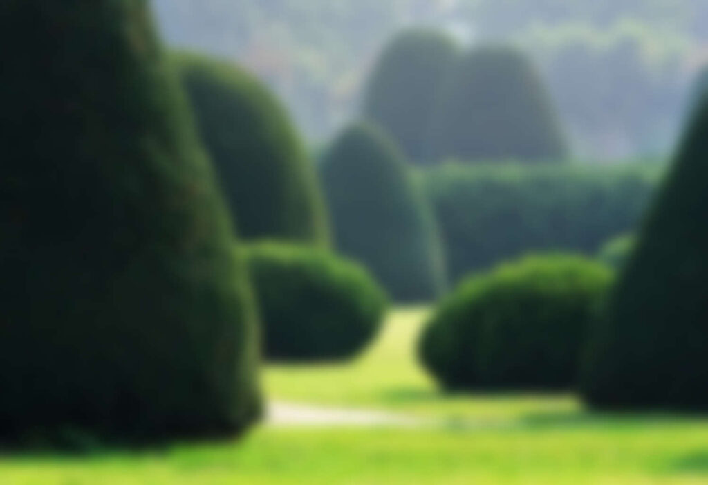 Garden Care