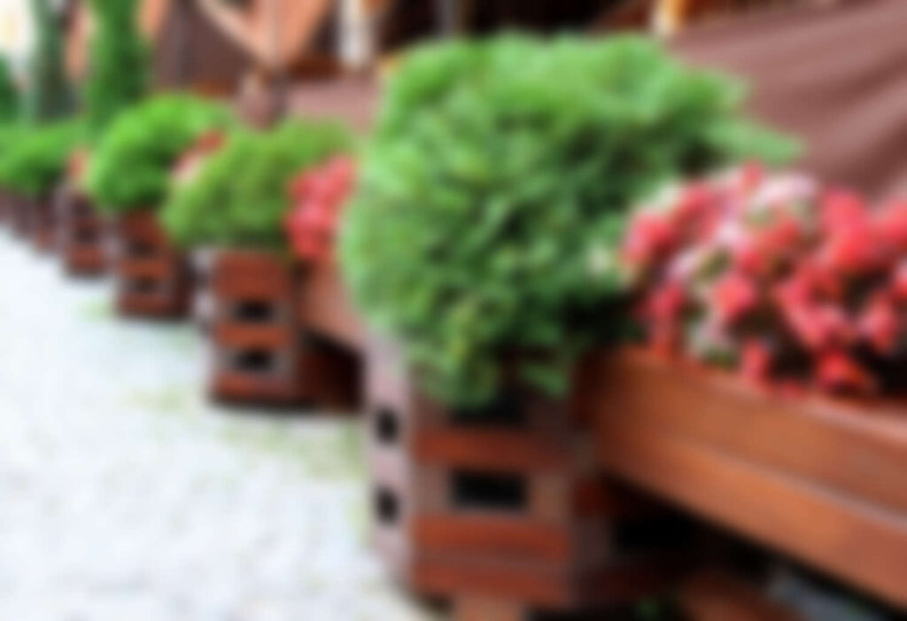 Garden Design & Landscaping
