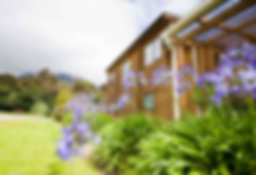 Lawn Mowing & Lawn Care