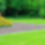 Garden Care